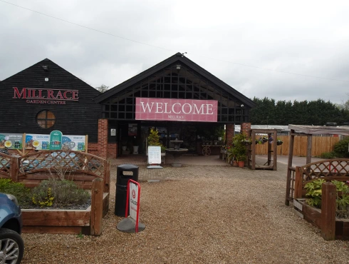 Commercial Property